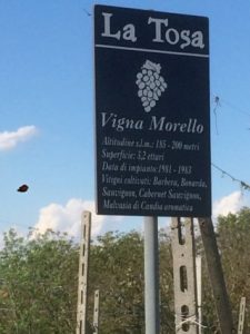La Vigna Morello