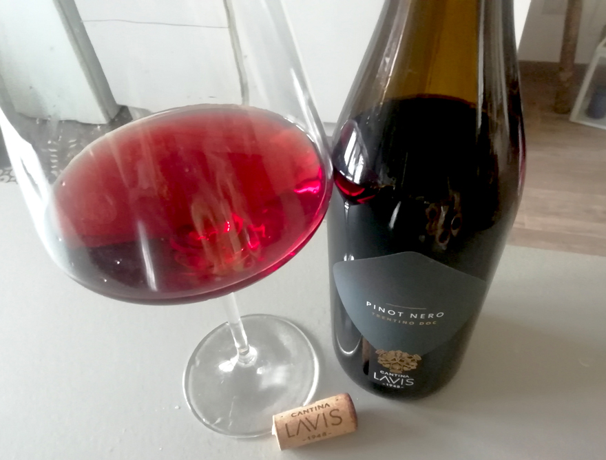 Pinot Nero 2019 - LaVis Un ottimo Vino per gli Straccetti ai Carciofi