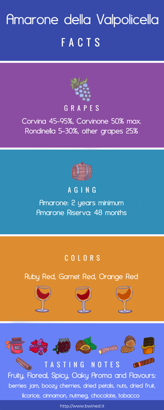 Amarone Facts: Produzione, Colori, Profumi