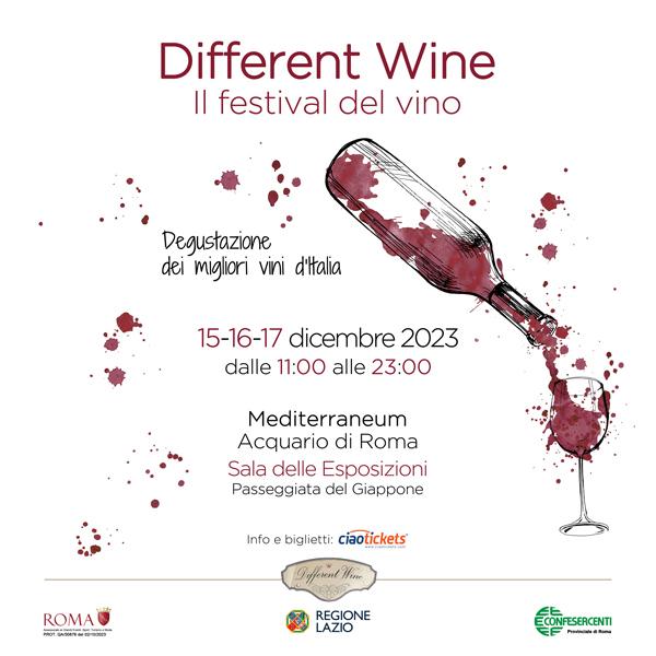 Different Wine Festival